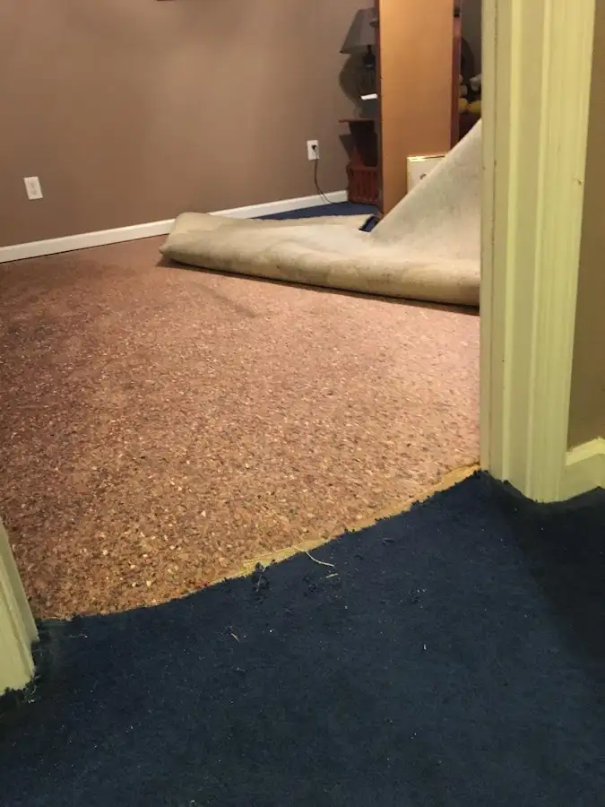 Carpet pad removal revealing water damage during Drying & Dehumidification in Las Vegas